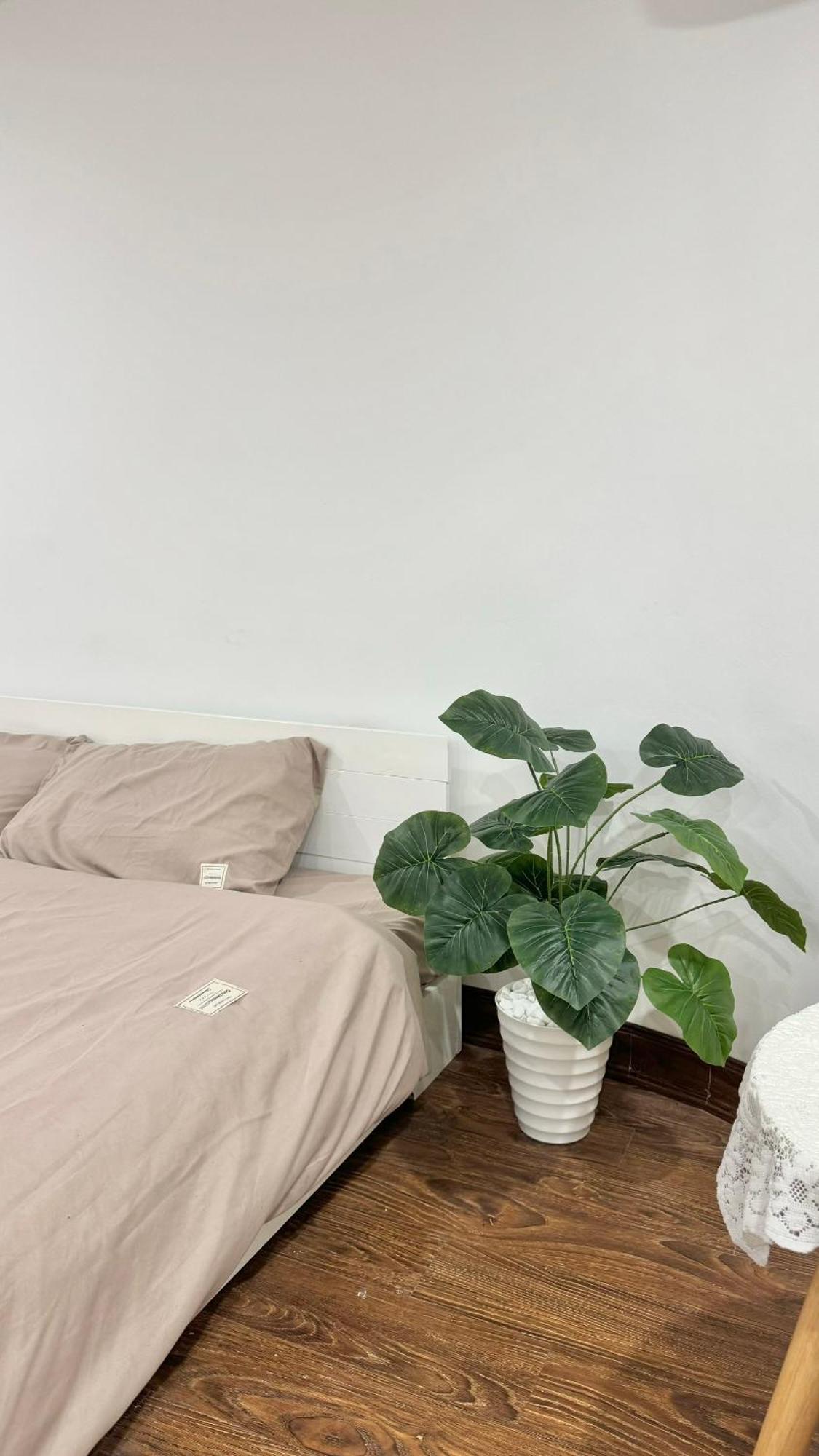 Bom House - Zxz Apartment Ханой Екстериор снимка